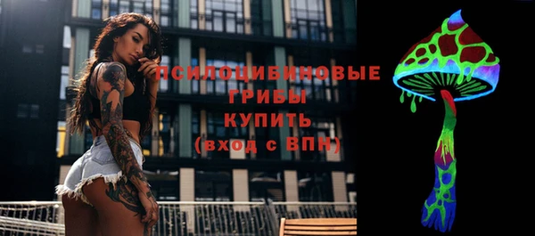 экстази Богородицк