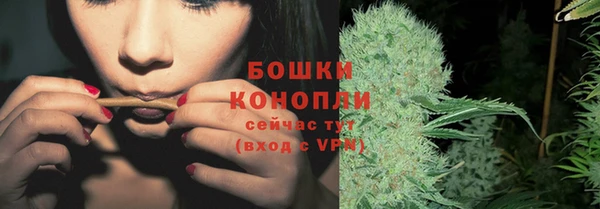не бодяженный Богданович