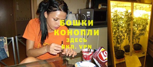 не бодяженный Богданович
