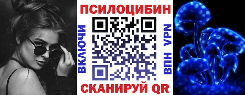 закладка  Ильский  Галлюциногенные грибы Magic Shrooms 